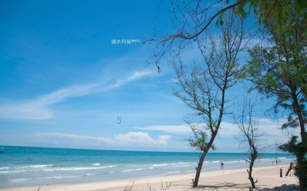 全民烧脑3去广告版