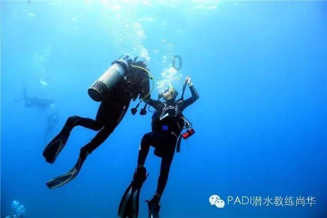 1月24日,官方通报网传三亚海域现剧毒僧帽水母: 是它的近亲蓝瓶僧帽水母,受南海季风漂流影响漂至三亚,毒性较小,暂无致人死亡报告