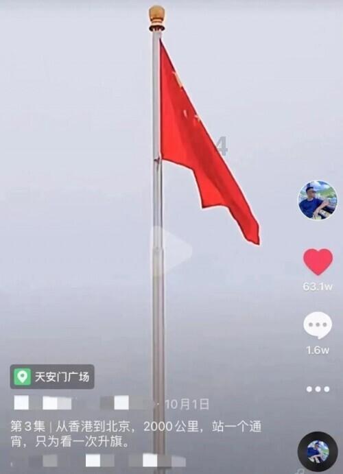 寻找奈良树花